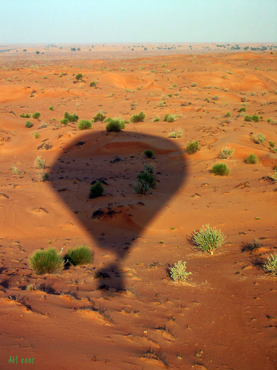 Dubai Desert