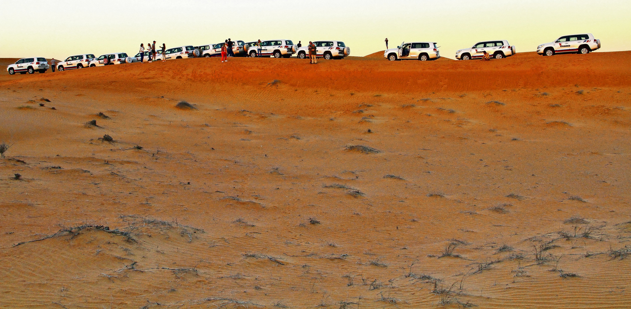 Dubai Desert Safari