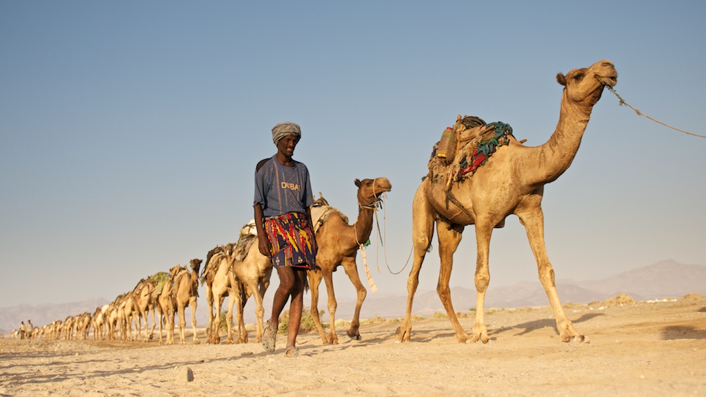 Dubai from Mekele to Lake Asale