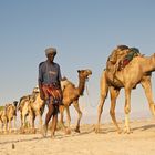 Dubai from Mekele to Lake Asale