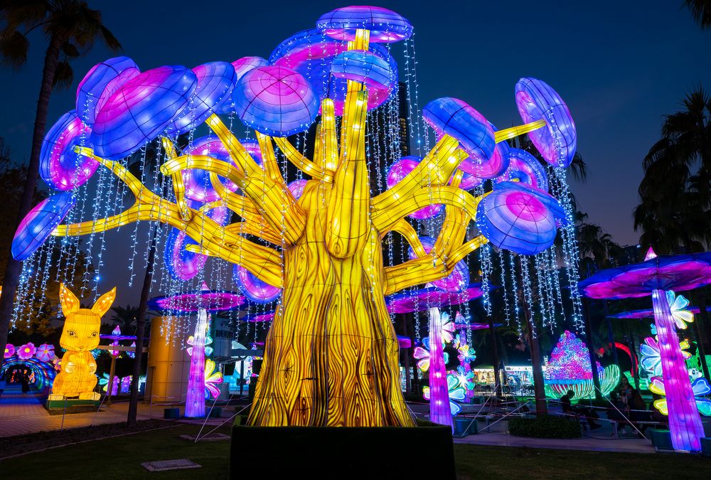 Dubai Garden Glow 7