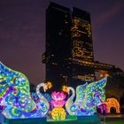 Dubai Garden Glow 9