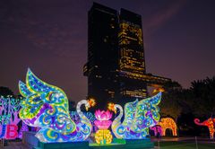 Dubai Garden Glow 9