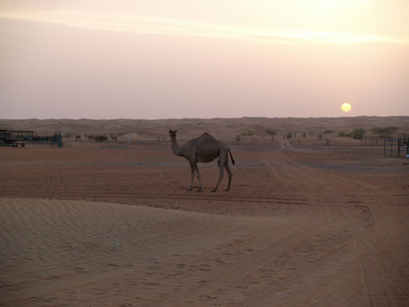 Dubai: il deserto!!!