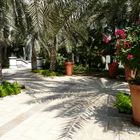 Dubai im Park