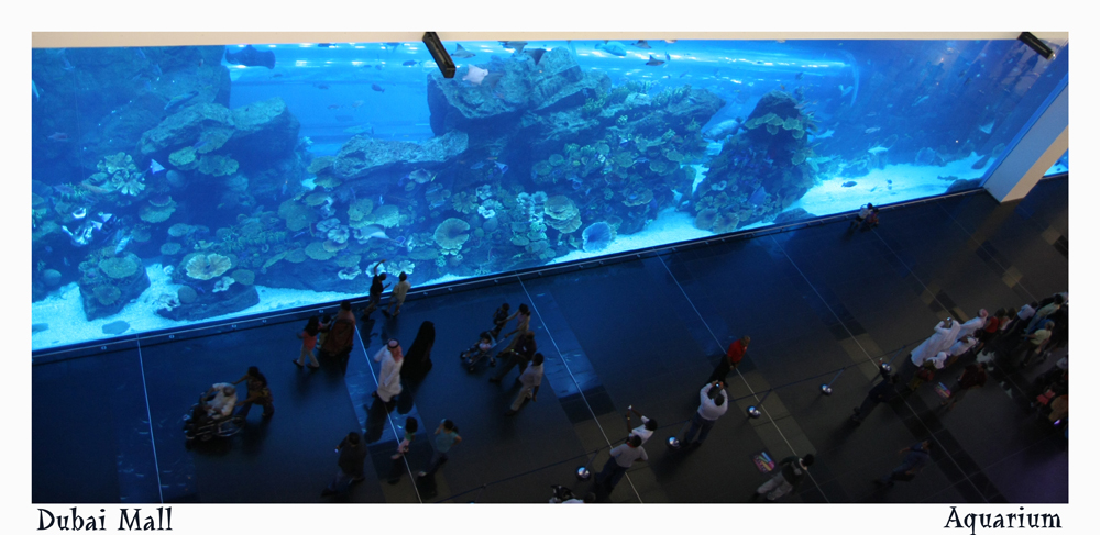 Dubai Mall - Aquarium