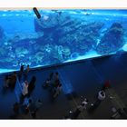 Dubai Mall - Aquarium