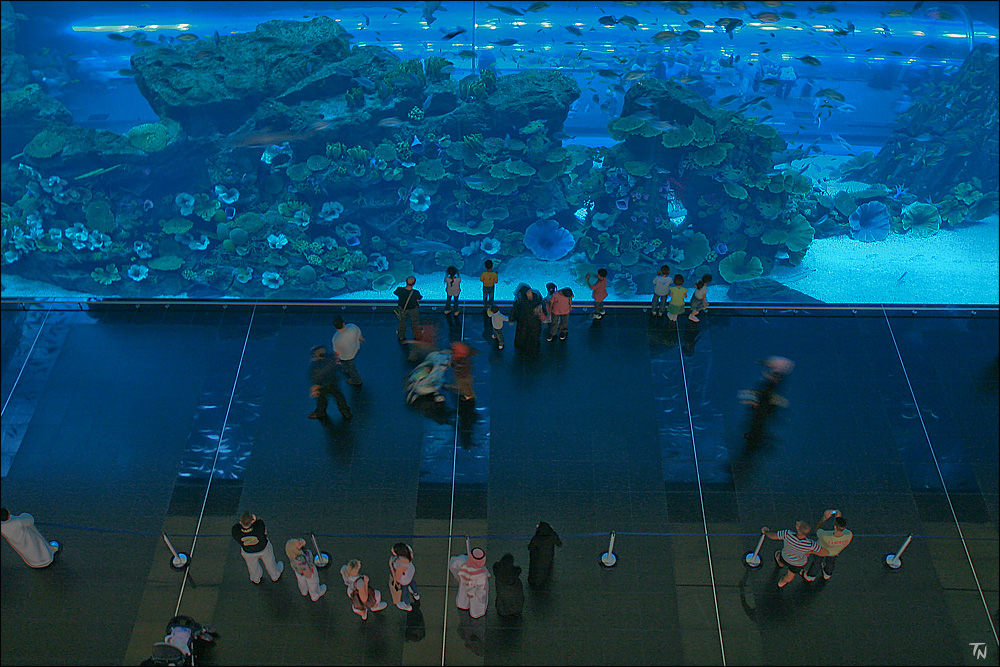 Dubai Mall Aquarium