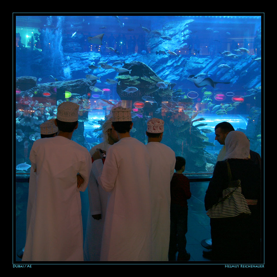 Dubai Mall VII, Dubai / UAE