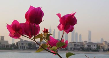 Dubai Palm Jumeira