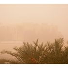 dubai sand storm