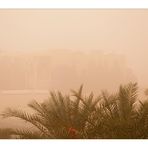 dubai sand storm