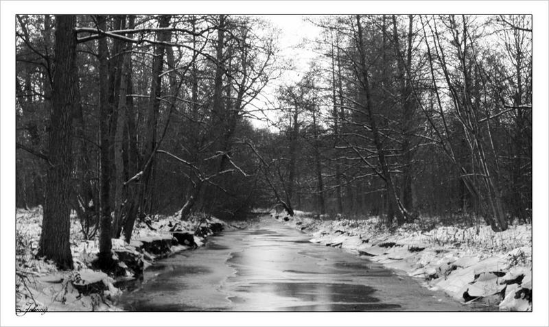 Dubki Park in Saint-Petersburg #2