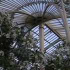 Dublin Botanic Gardens