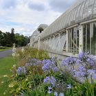 Dublin – Botanischer Garten