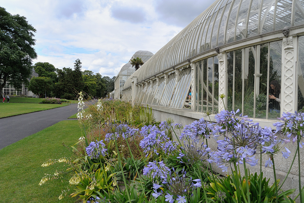 Dublin – Botanischer Garten