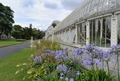 Dublin – Botanischer Garten