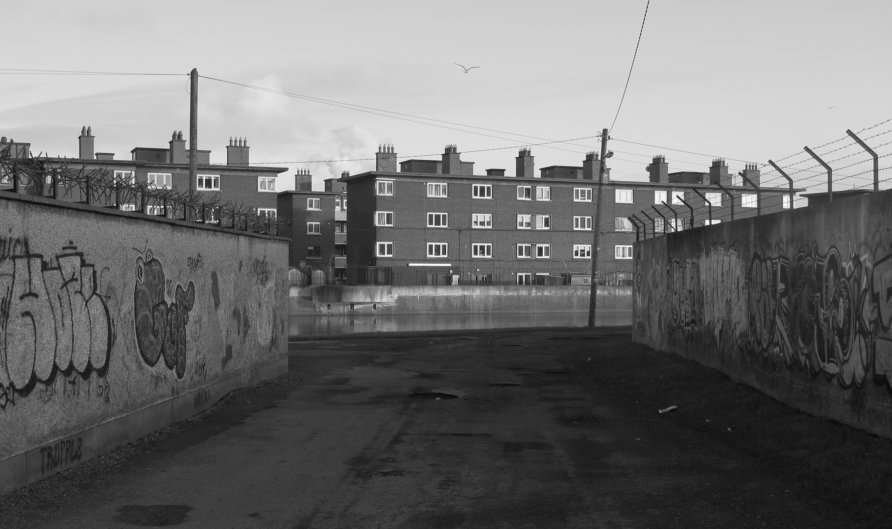 Dublin Docks