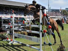 Dublin Horse Show 2