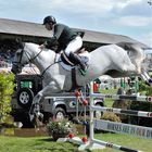 Dublin Horse Show 3