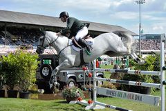 Dublin Horse Show 3