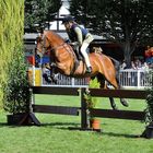 Dublin Horse Show 4