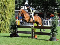 Dublin Horse Show 4