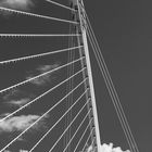 Dublin - Samuel Beckett Bridge