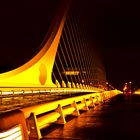 Dublin - Samuel Beckett Bridge