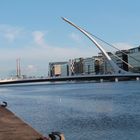 Dublinbridge Harp