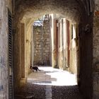 Dubrovnik eine Stadt mir Charme