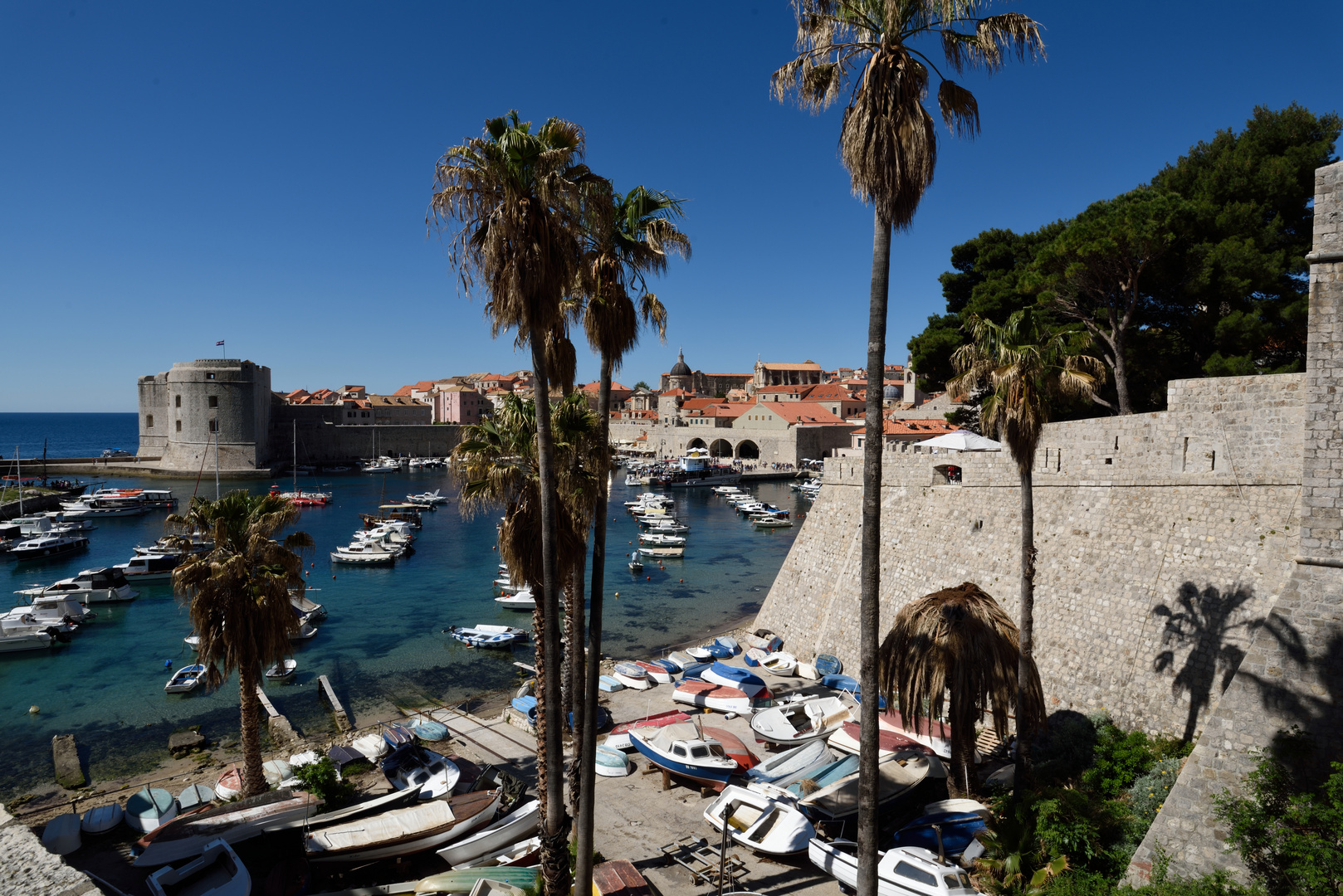 Dubrovnik hinter sterbenden Palmen