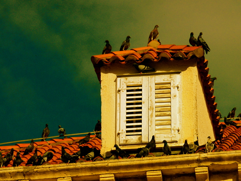 Dubrovnik, Kroatien