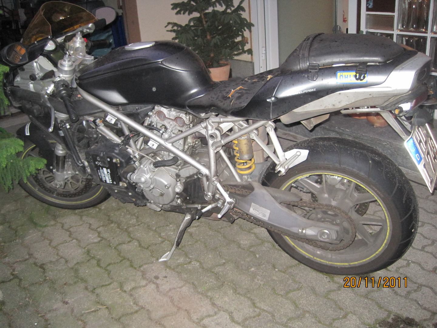 duc1