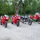 Ducati 600SS, 851, 860 GTS, 900 SS Mike Hailwood Replica