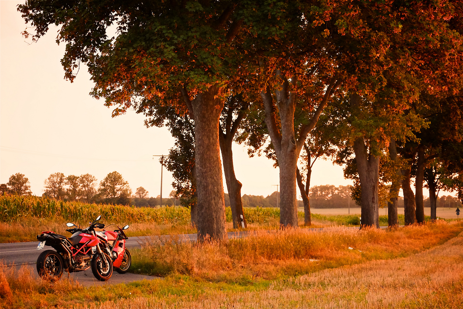 Ducati 916 and Hypermotard enjoying the last drop of the sun