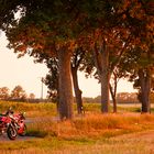 Ducati 916 and Hypermotard enjoying the last drop of the sun