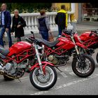 Ducati Forever