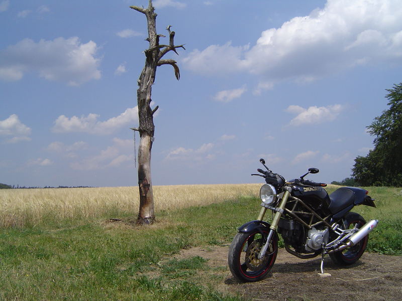 Ducati Monster M750