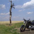 Ducati Monster M750