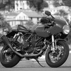 Ducati Sport 1000s in Santa Margherita (Ligurien)