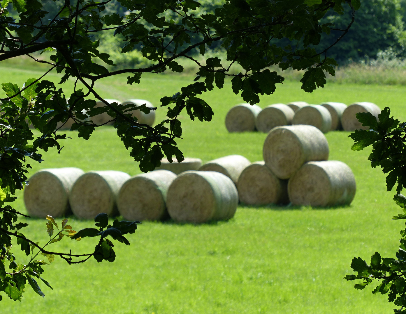 Duchblick aufs Feld