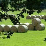 Duchblick aufs Feld