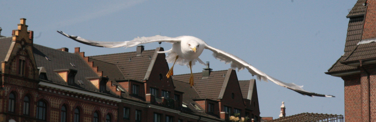 Duck Dich, bin im Anflug!