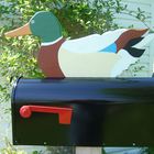 Duck mailbox
