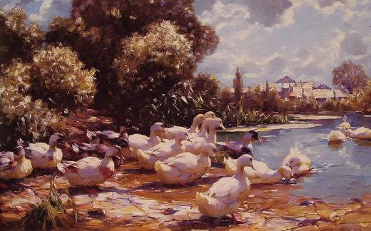 Duck Paintings by me and share !