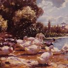 Duck Paintings by me and share !