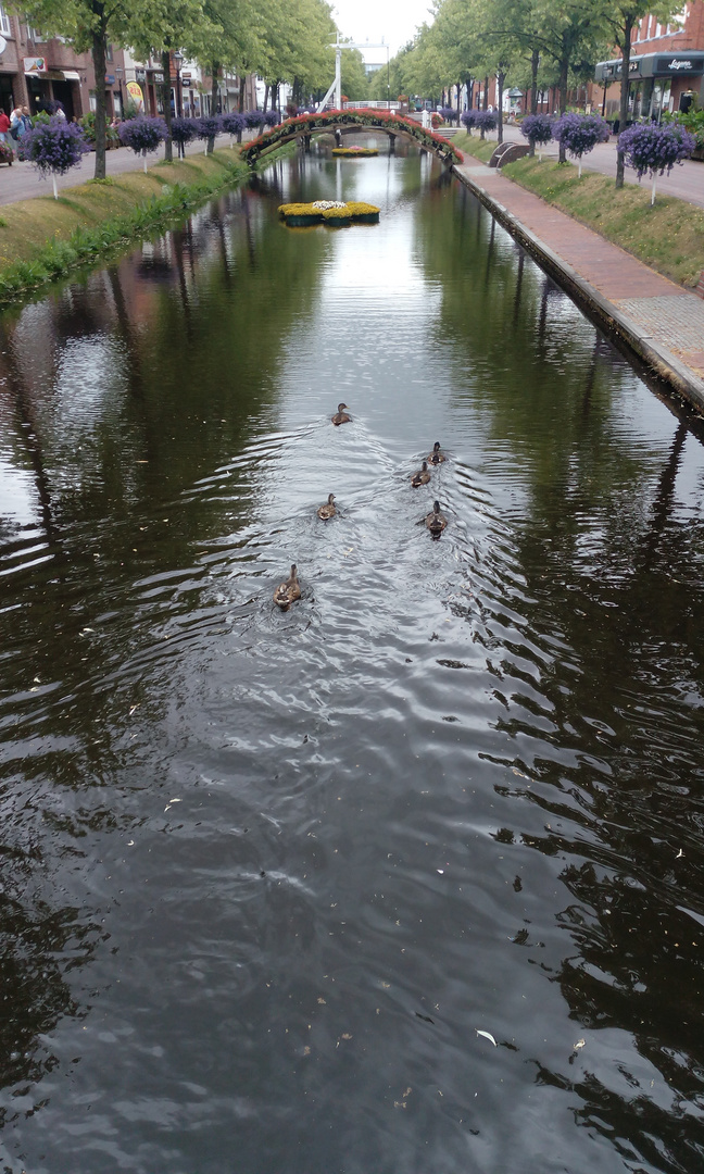 Duck-Race Nr. 2