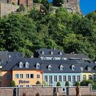 duck's family day ....exploring the Saarburg
