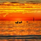 Ducks on the Sea.